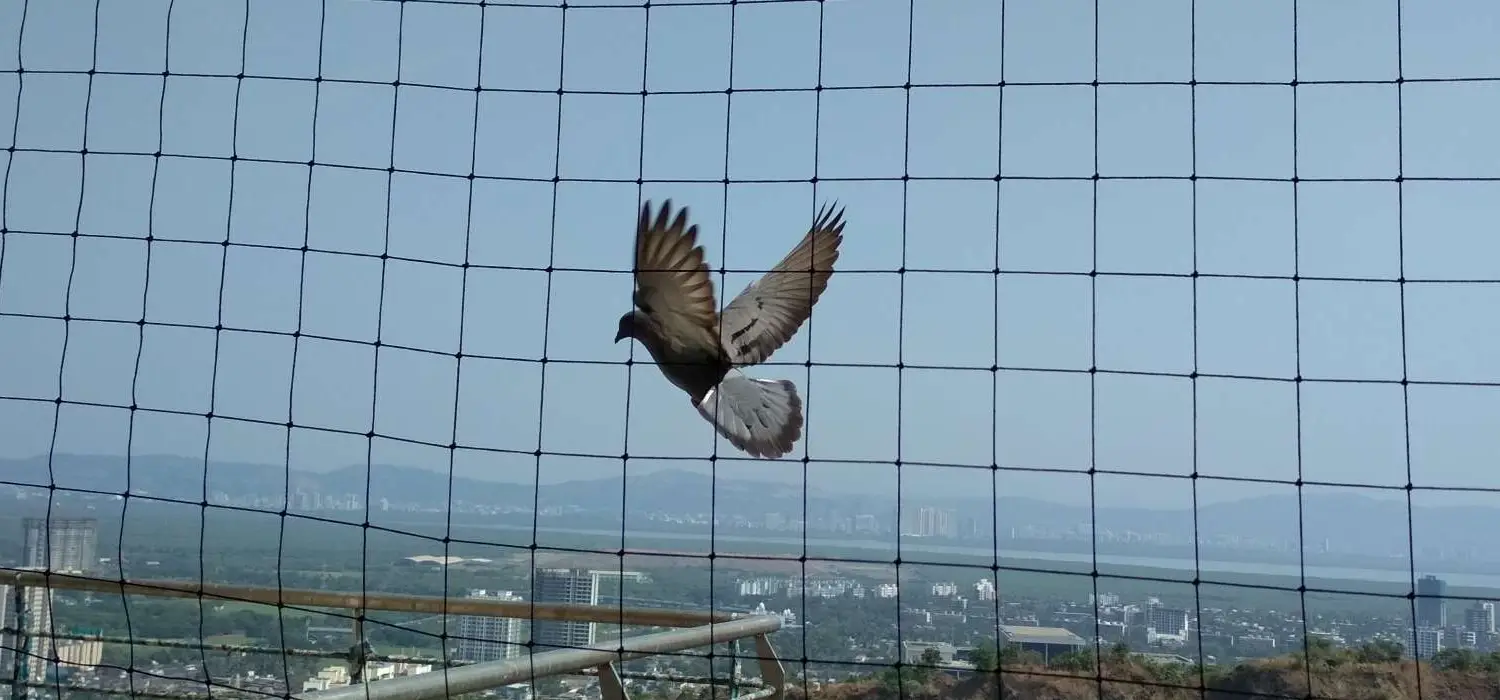 Professional bird net installation on a building balcony