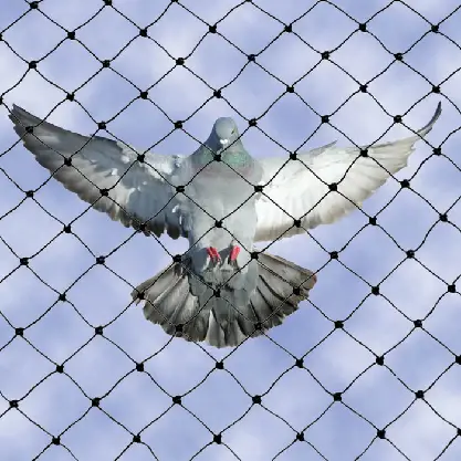Pigeon net installation on balcony