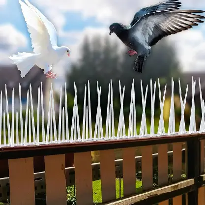Bird spike installation service